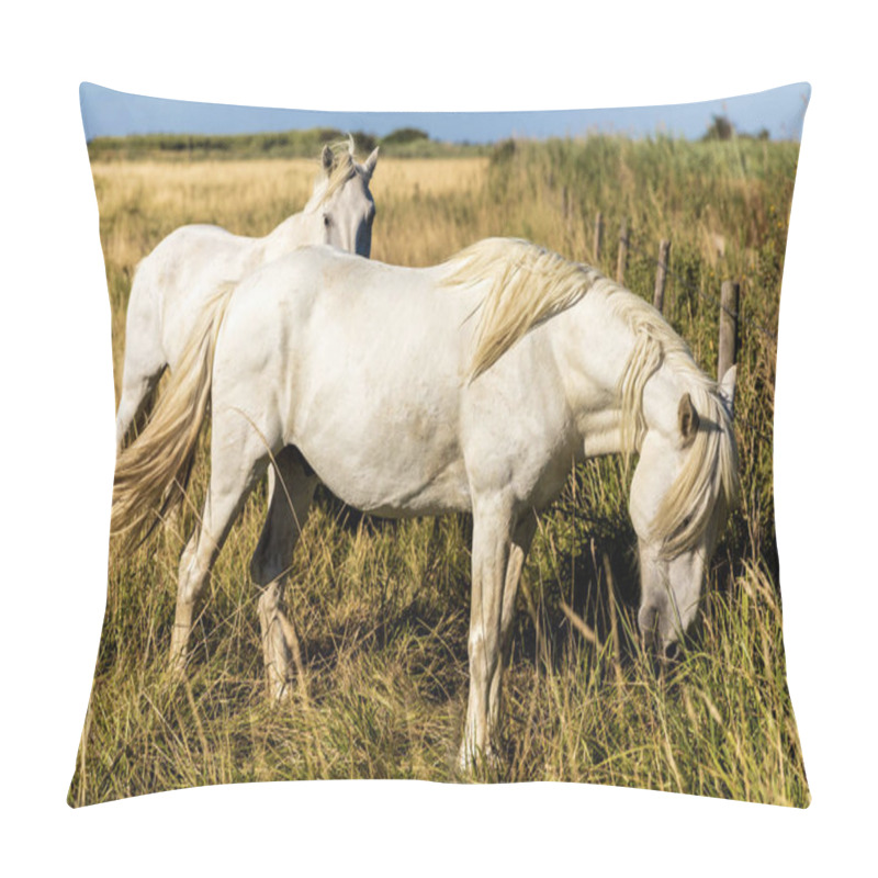 Personality  Grazing Pillow Covers