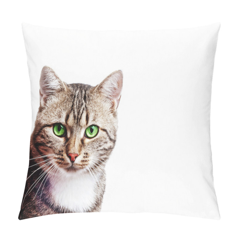 Personality  Beautiful European Cat On A White Background Pillow Covers