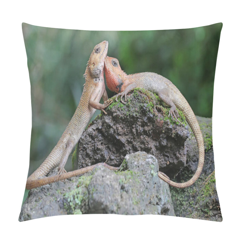 Personality  Two Oriental Garden Lizards Are Sunbathing. This Reptile Has The Scientific Name Calotes Versicolor.  Pillow Covers