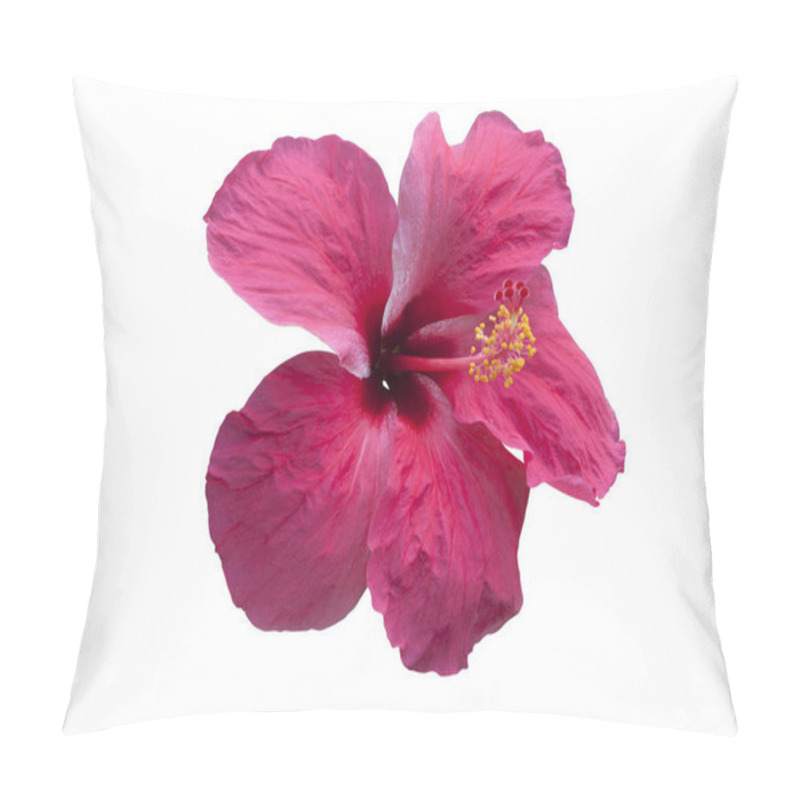 Personality  Pink Hibiscus Flower Isolated On White. Objects With Clipping Paths. Pillow Covers