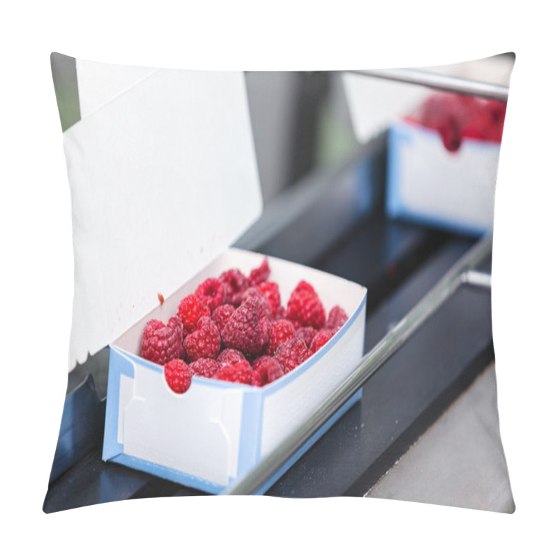 Personality  Frozen Raspberry Processing Business Pillow Covers