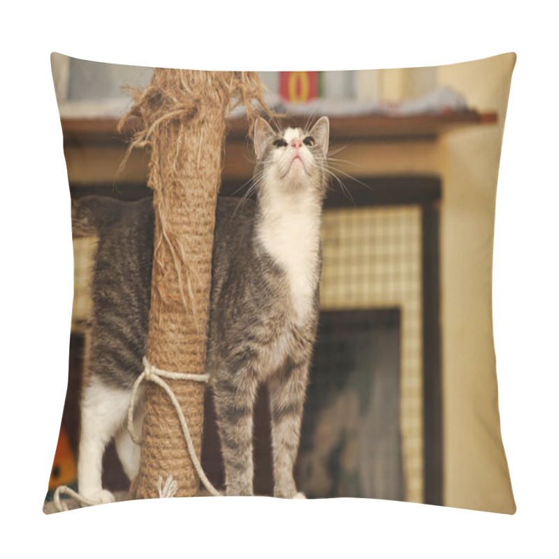 Personality  Cat And Scratching Post Pillow Covers