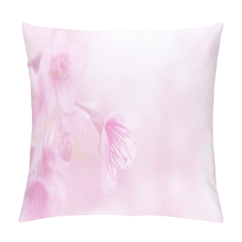 Personality  Beautiful Blossom Pink Japanese Sakura Flowers For Background With Copy Space Pillow Covers