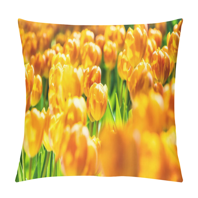 Personality  Yellow And Orange Tulips Blooming Brightly In A Lush Garden Surrounded By Green Leaves, Showcasing The Vibrant Beauty Of Spring. Pillow Covers