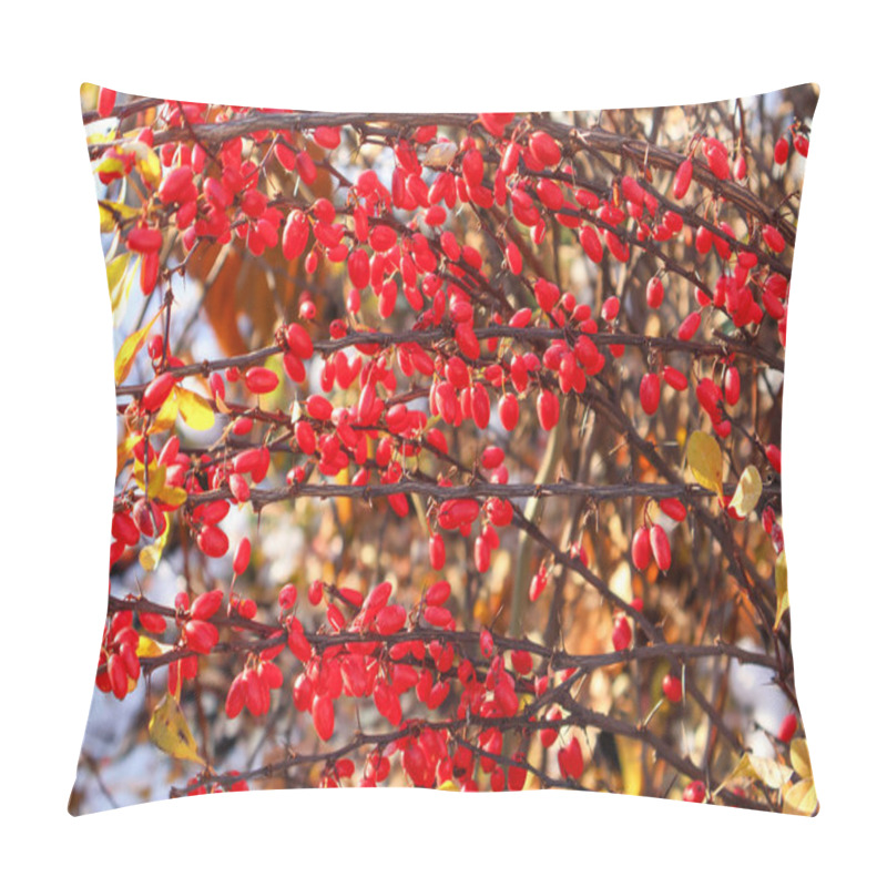 Personality  Bright Red Barberry Berries On Branches. A Close-up Of Vibrant Barberry Branches With Vivid Red Berries And A Mix Of Yellow And Brown Autumn Leaves In The Background. Pillow Covers