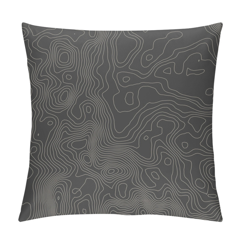 Personality  Topographic Map Background Concept With Space For Your Copy. Pillow Covers