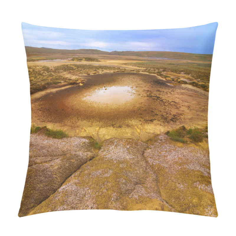 Personality  Dry Lands Pillow Covers