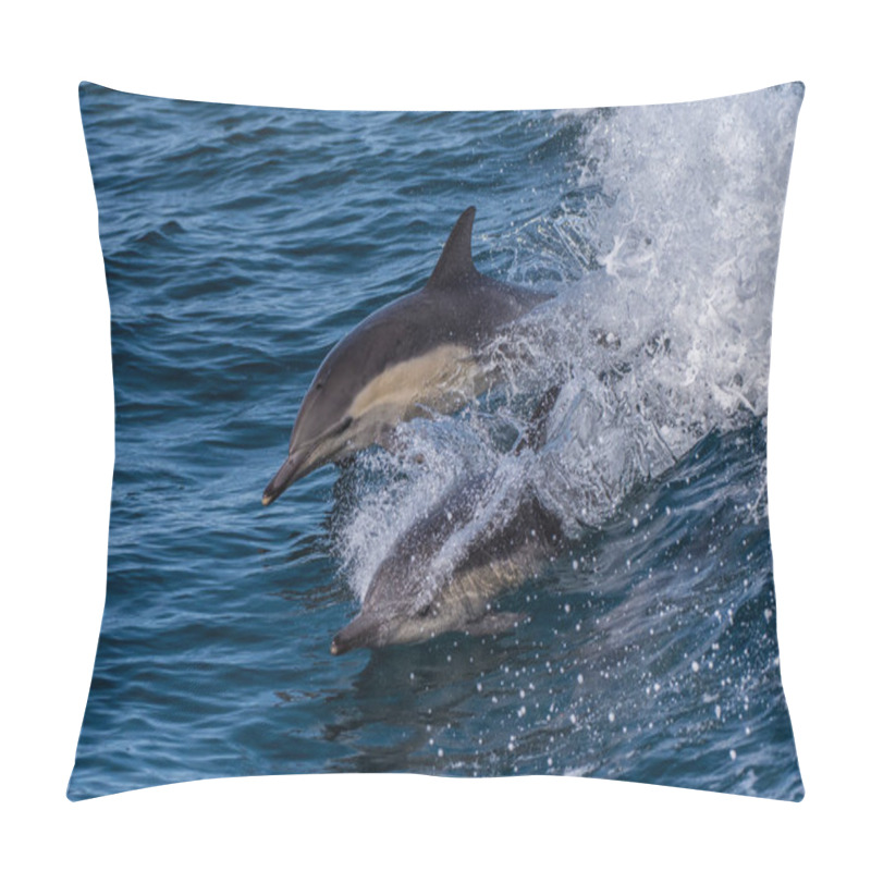 Personality  Pair Of Energetic Dolphins Playfully Swimming And Jumping At Top Speed In The Santa Barbara Channel. Pillow Covers