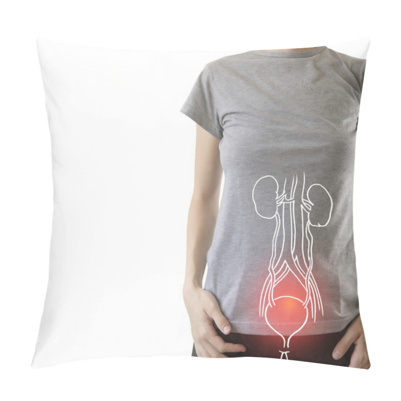 Personality  Human Female Kidney Anatomy Highlighted Red  Pillow Covers