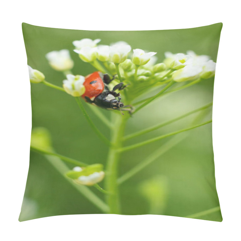 Personality  Vertical Macro Of Ladybug On Blossoming Tiny Flowers Pillow Covers