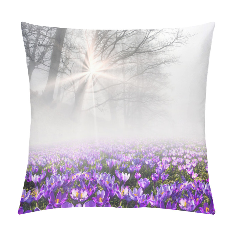 Personality  Spring Flowers Crocuses At Sunrise Pillow Covers