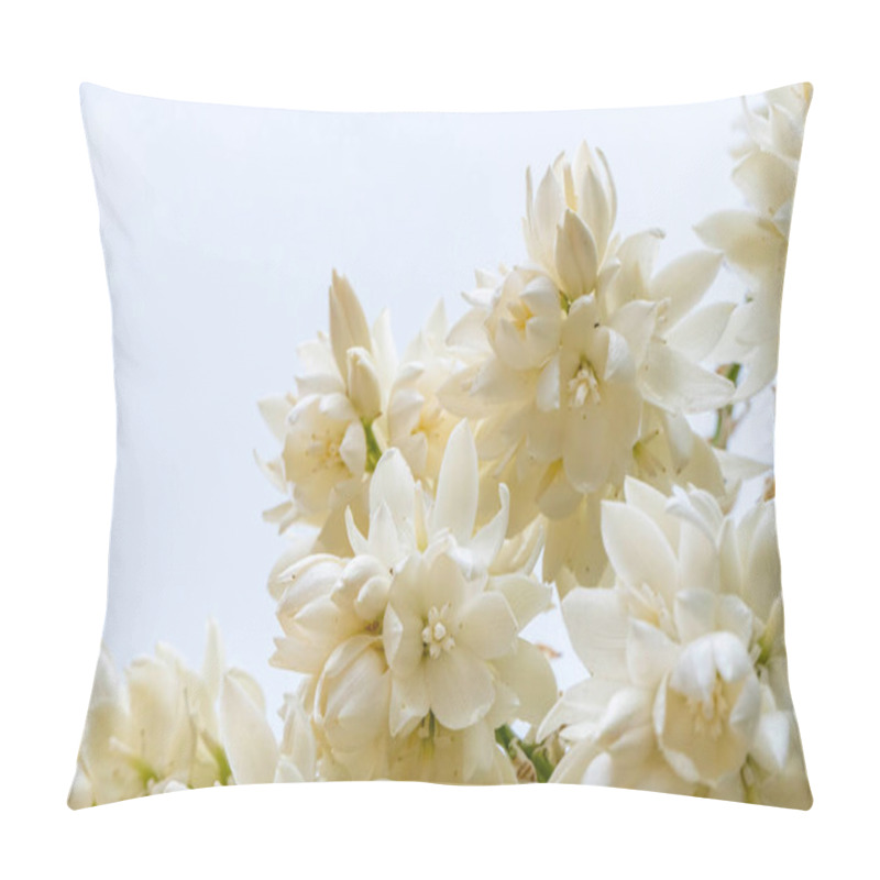 Personality  Delicate White Flowers Of Yucca Rostrata Or Beaked Yucca Plant Close Up Against Sky Selective Focus Pillow Covers