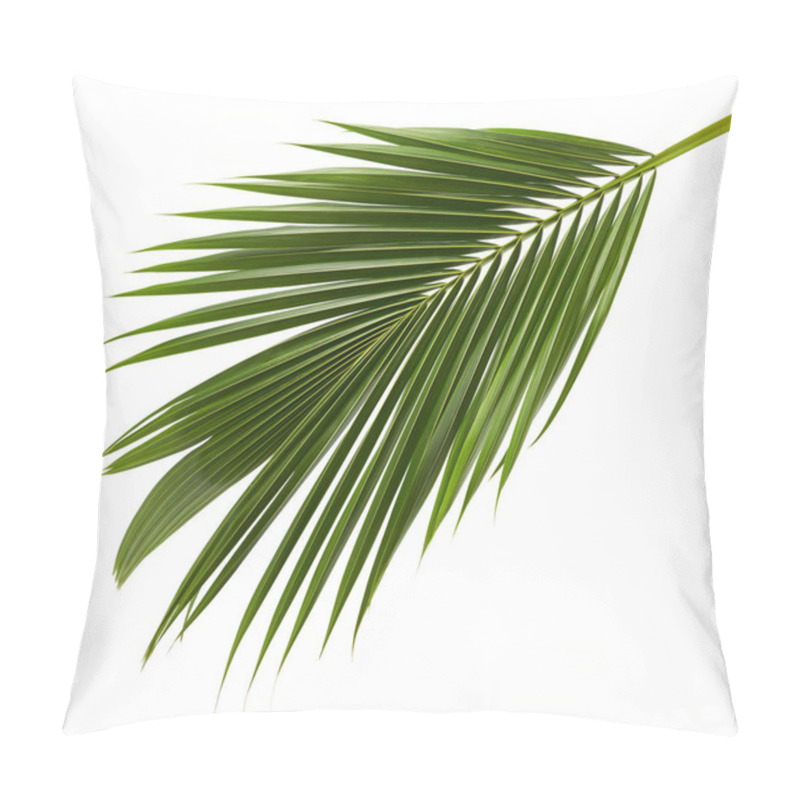 Personality  Coconut Leaves Or Coconut Fronds, Green Plam Leaves, Tropical Foliage Isolated On White Background With Clipping Path Pillow Covers