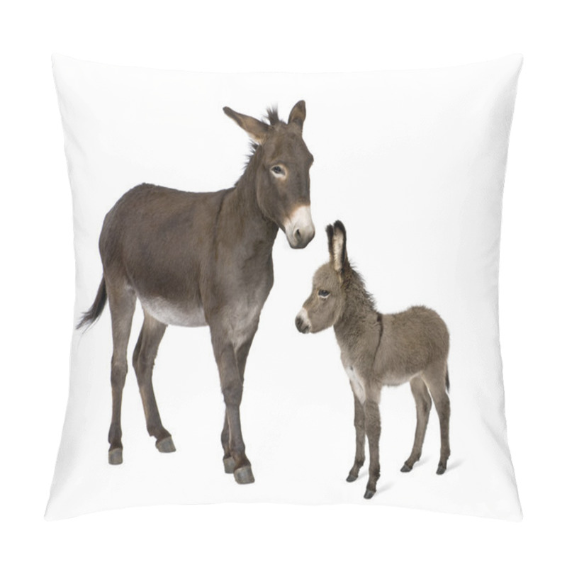 Personality  Donkey, 4 Years Old, And His Foal, 2 Months Old, In Front Of Whi Pillow Covers