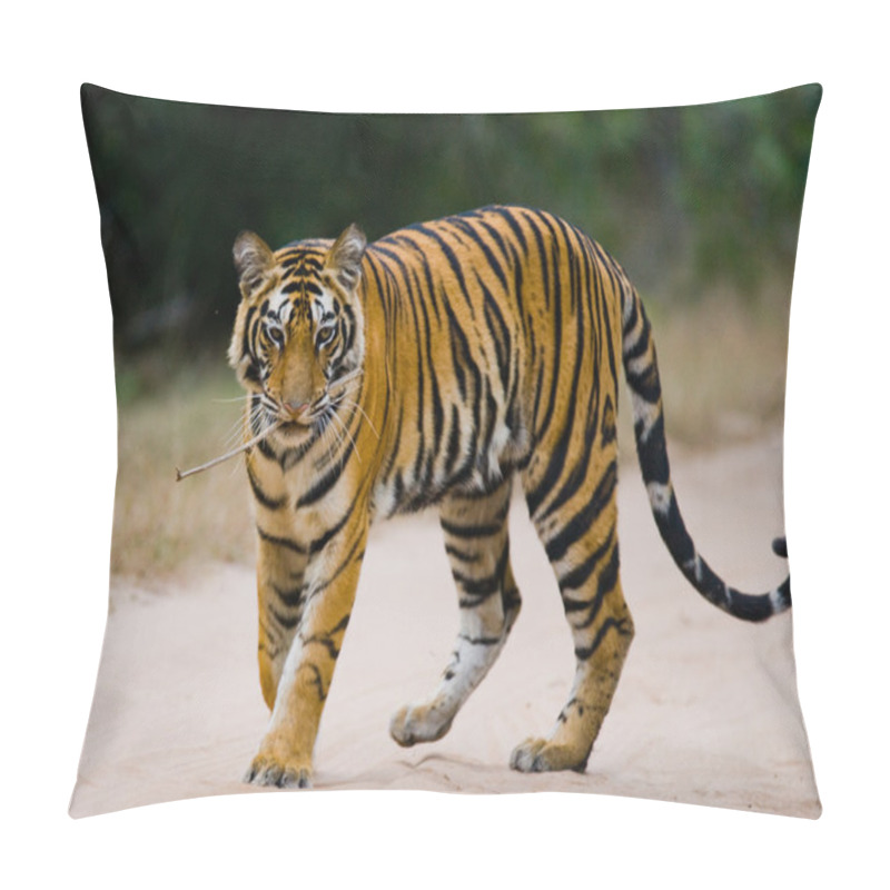 Personality  One Wild Tiger Pillow Covers