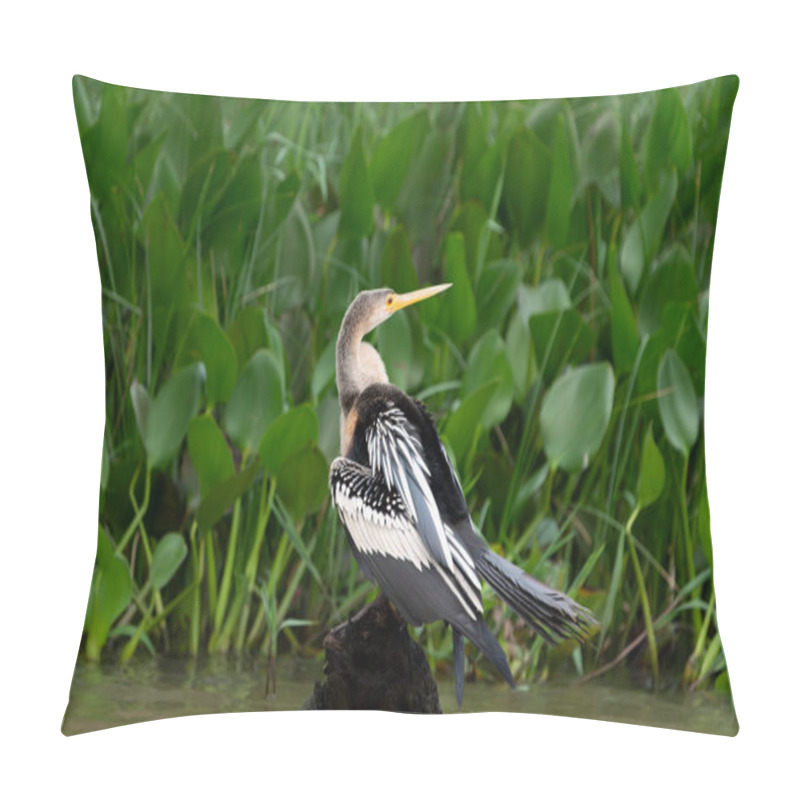 Personality  Juvenile Or Female Darter Sitting On Old Tree Stump In Black River Showing Wing Pattern In The Pantanal Brazil. Pillow Covers