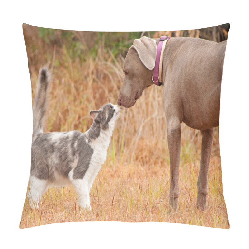 Personality  Cat And Big Dog Sniffing Noses Pillow Covers