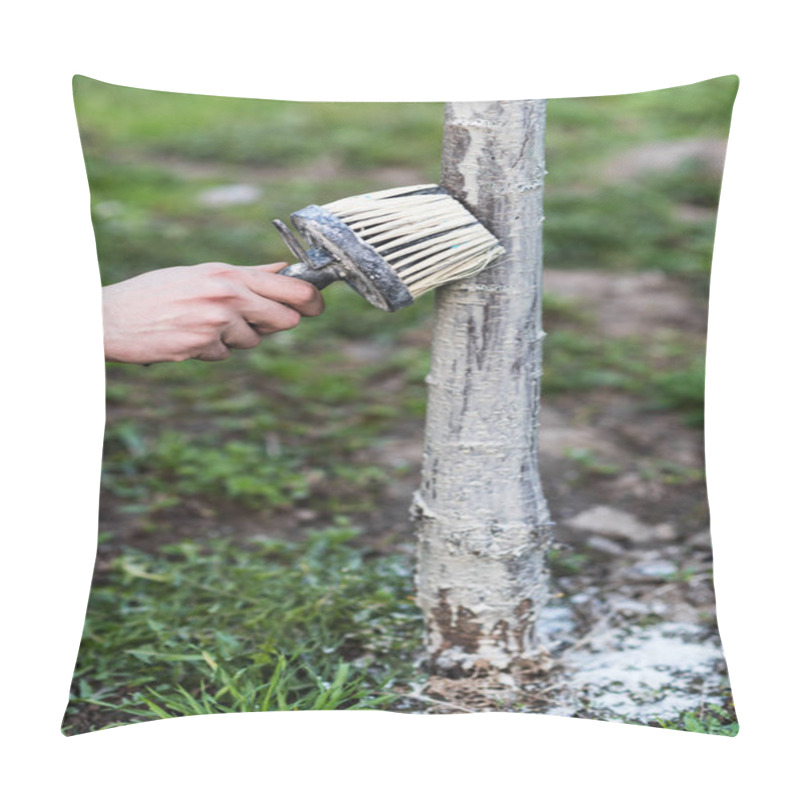 Personality  Spring Whitewashing Of Trees. Protection From Sun And Pests. Ukraine Pillow Covers