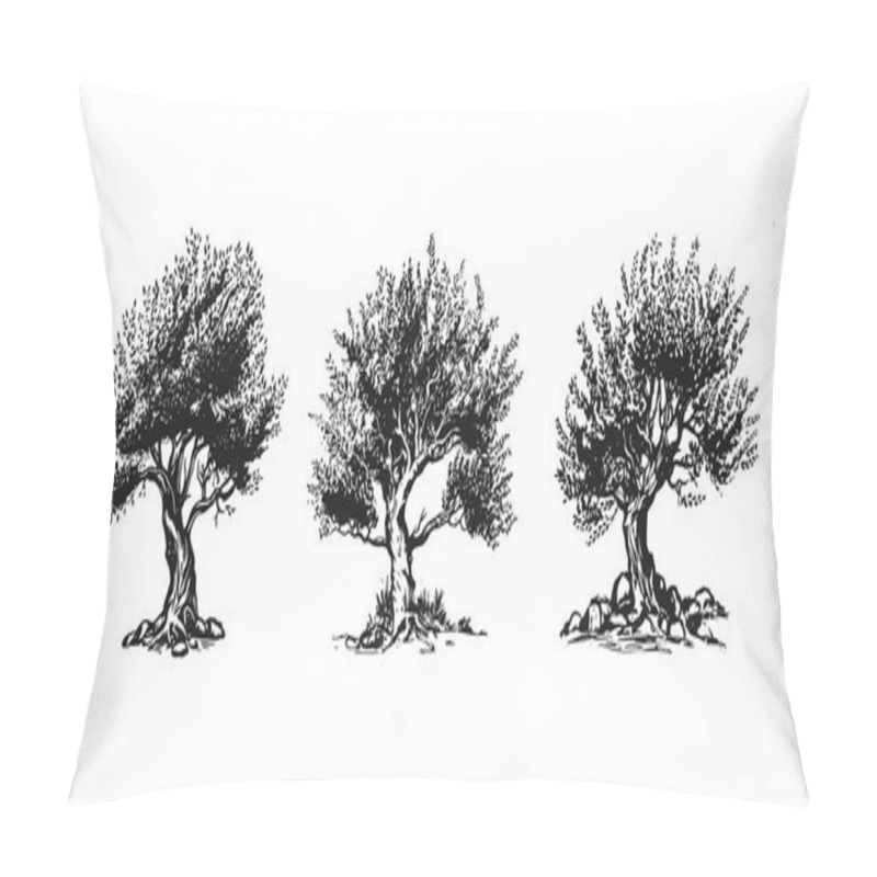 Personality  Olive Tree Hand Drawn Illustrations, Sketch. Vector. Pillow Covers