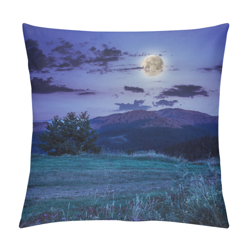 Personality  Moonlight Beams In Highland Pillow Covers