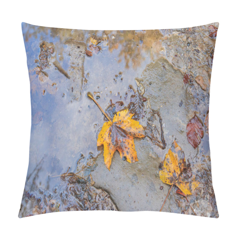 Personality  Colorful Fall Maple Leaves In Rain Puddle, Floating Autumn Leaf. October Weather, November Nature Background Pillow Covers