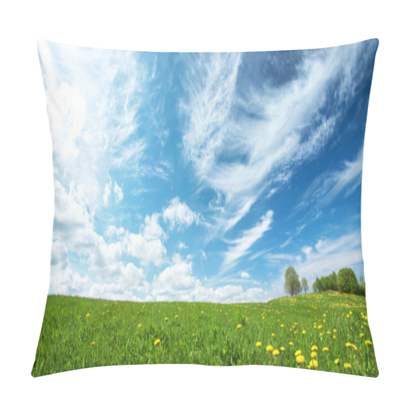 Personality  Field With Dandelions And Blue Sky Pillow Covers