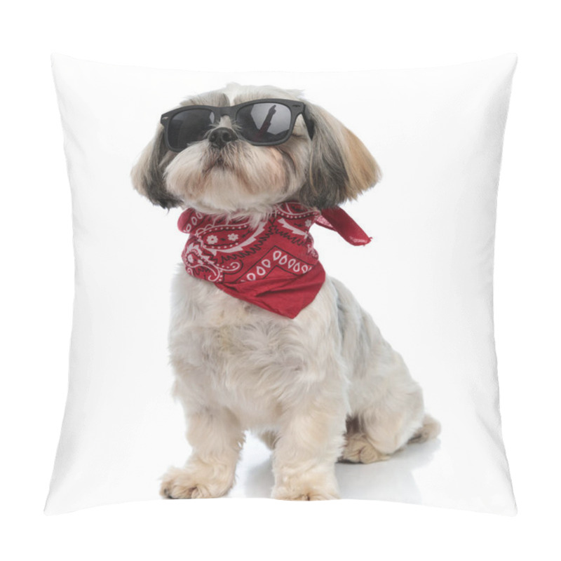 Personality  Brave Shih Tzu Puppy Wearing Sunglasses And Bandana, Looking Forward While Sitting On White Studio Background Pillow Covers