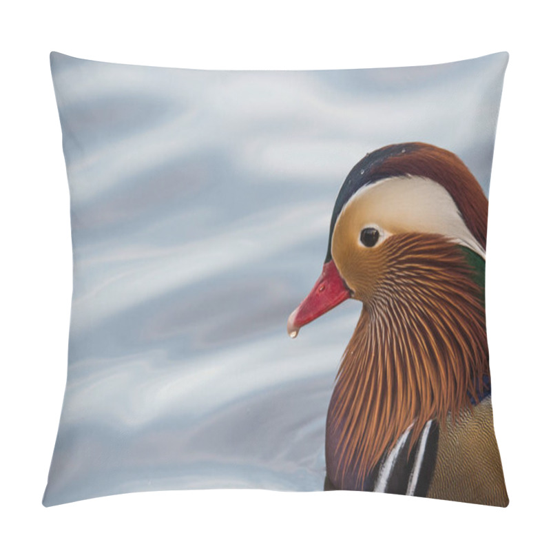 Personality  Male Mandarin Duck Pillow Covers