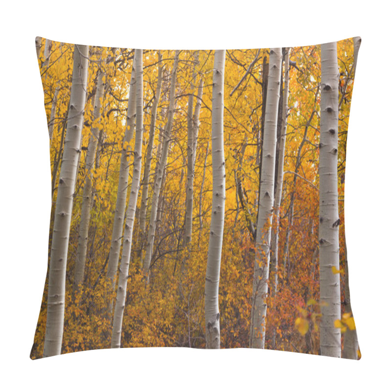 Personality  Autumn Aspen Grove Pillow Covers