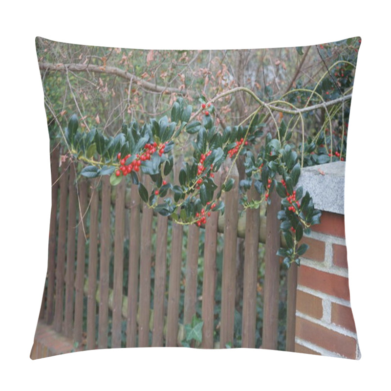 Personality  Ilex Cornuta With Red Fruits Grows In November. Ilex Cornuta, Chinese Holly Or Horned Holly, Is A Slow-growing, Densely Foliaged Evergreen Shrub In The Aquifoliaceae Plant Family. Berlin, Germany  Pillow Covers