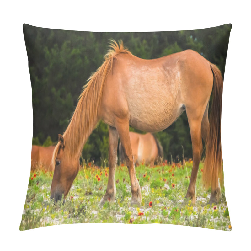 Personality  A Eating Horse Pillow Covers