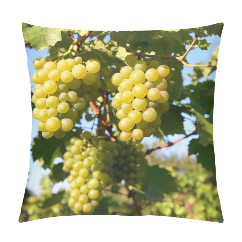 Personality  Bunch Of Yellow Grapes On Shrub, Photorealistic, Product Photo Pillow Covers