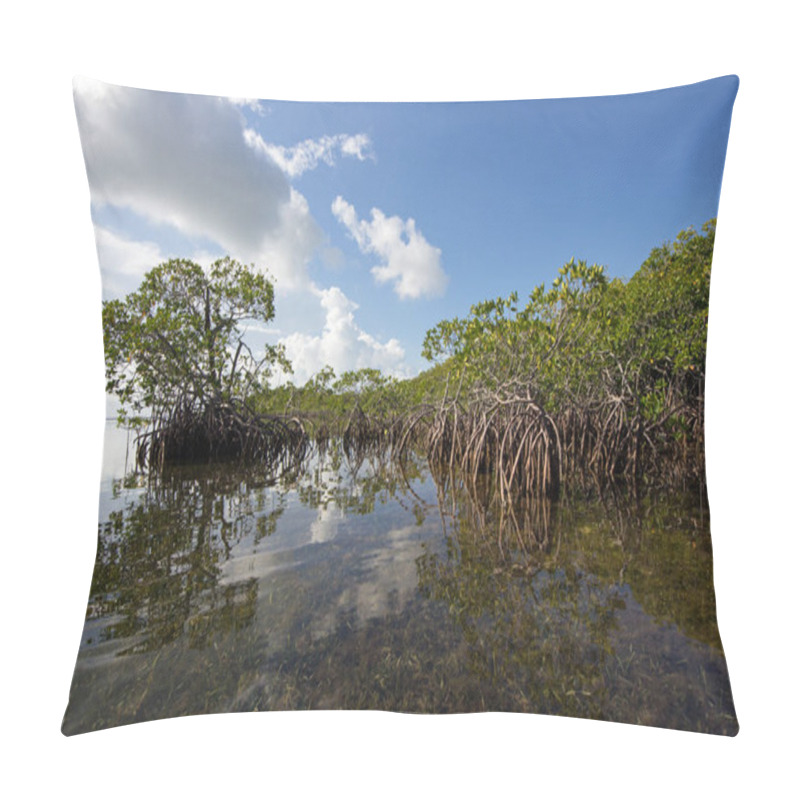 Personality  Cloudscape Relfected In The Waters Of Biscayne National Park, Florida. Pillow Covers