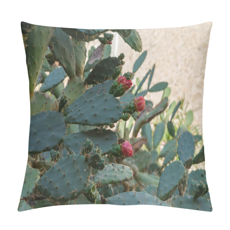 Personality  Flattened Leaflike Stems Of Prickly Pear Cactus With Red Flowers In Shade, Close-up In Selective Focus Pillow Covers