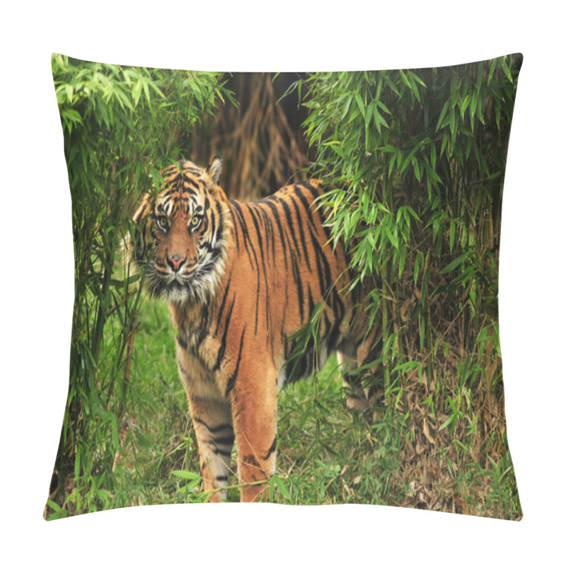 Personality  Tiger In The Woods Pillow Covers