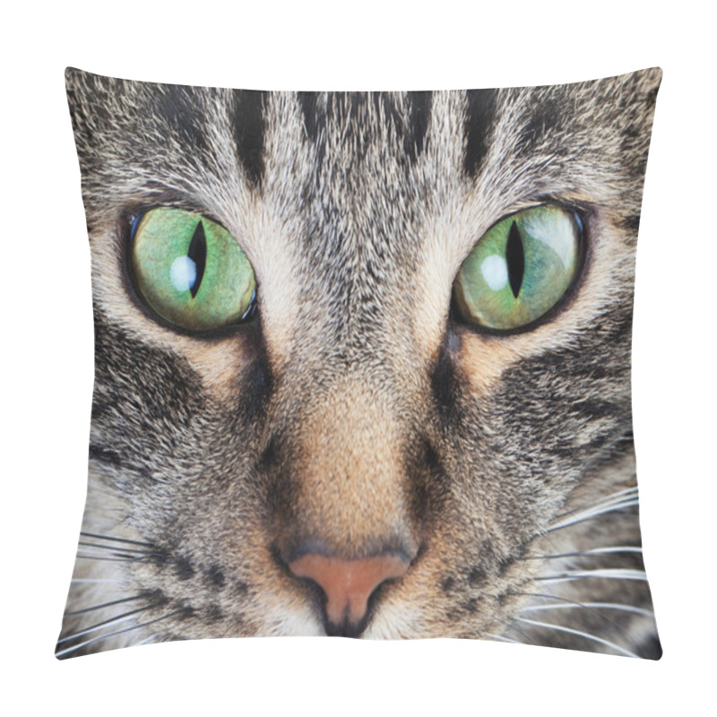 Personality  Calm Cat Eye Macro Pillow Covers