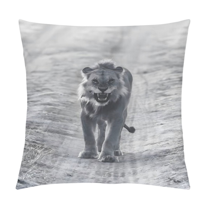 Personality  A Powerful Lion Strides Confidently On A Dirt Trail In Its Natural Habitat. Its Fierce Expression And Majestic Stance Symbolize Strength And The Untamed Beauty Of Wildlife In The Savannah. Pillow Covers