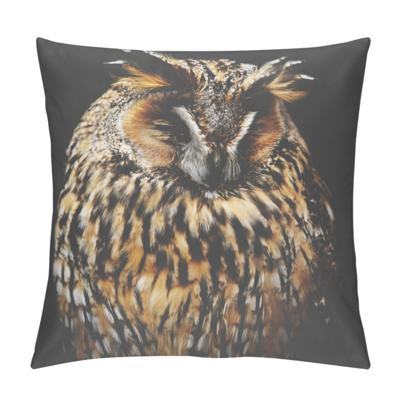 Personality  Sleepy Owl Portrait Pillow Covers