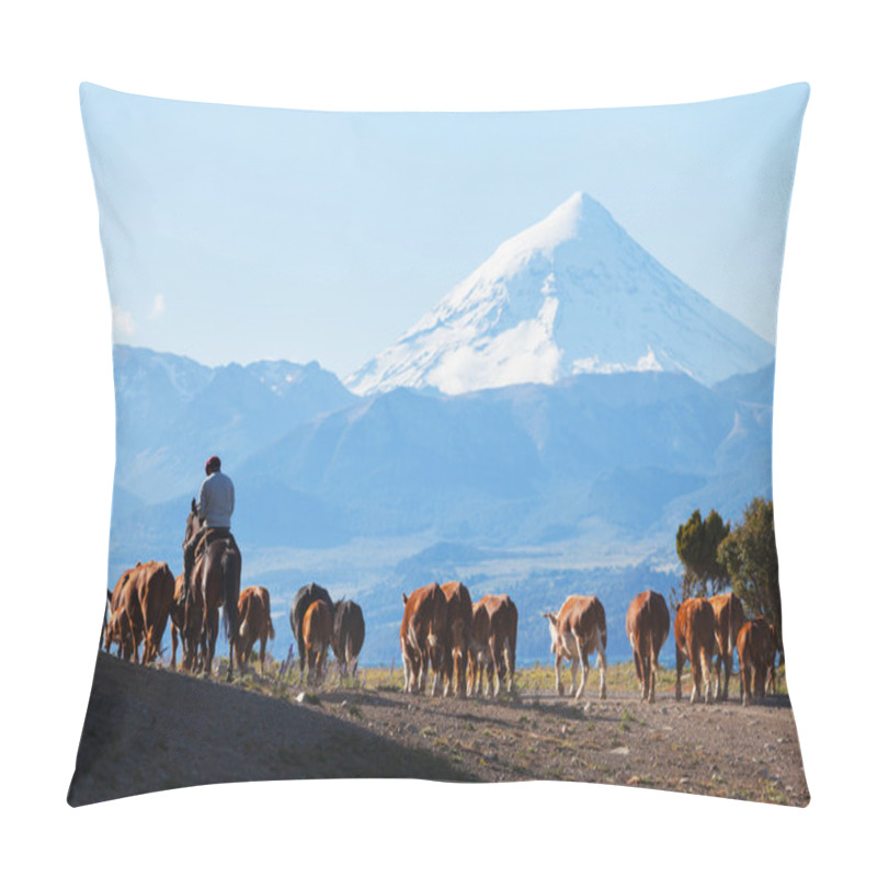 Personality  Gauchos And Herd Of Cows Pillow Covers