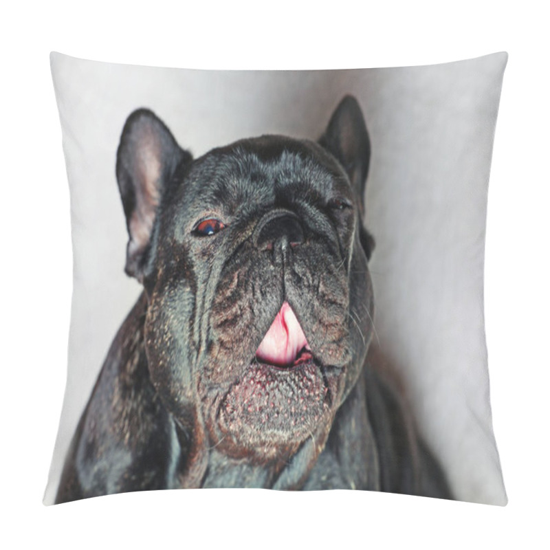 Personality  French Bulldog Portrait White Background Studio Quality  Pillow Covers