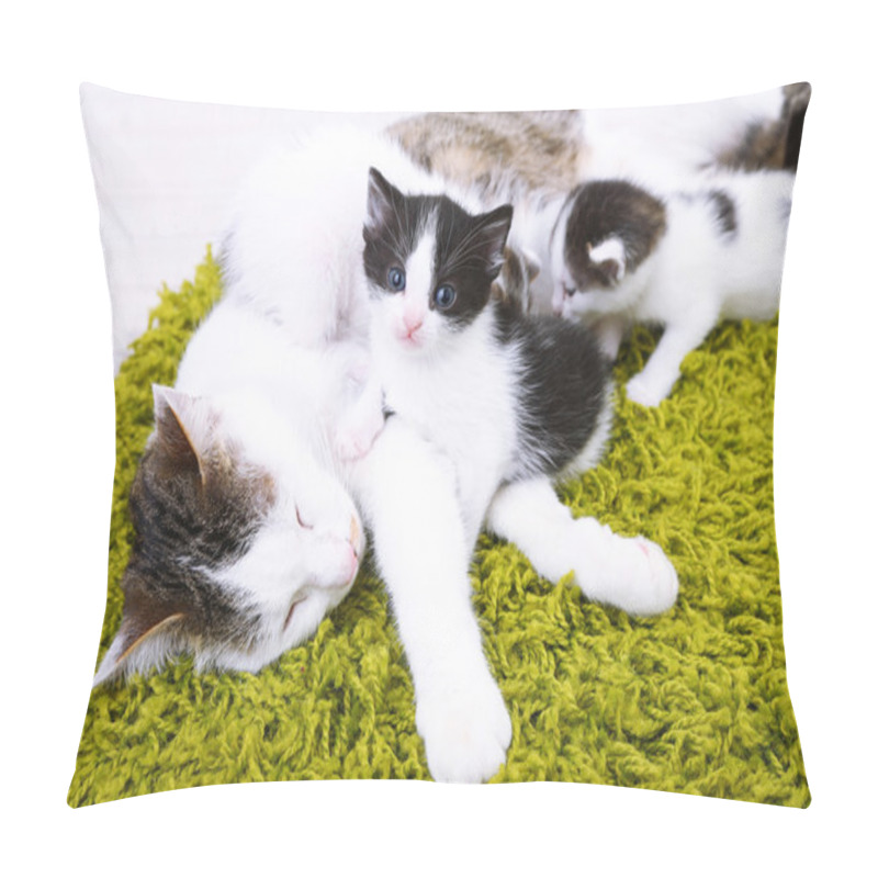 Personality  Cute Mother Cat And Little Kittens Pillow Covers