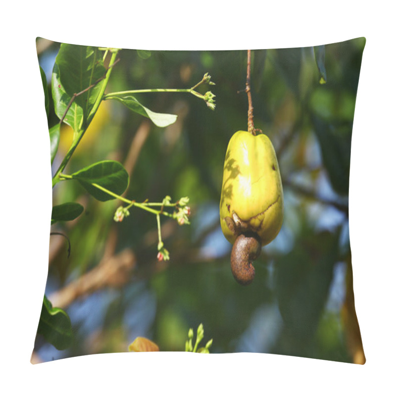 Personality  Cashew Fruit On The Tree Pillow Covers