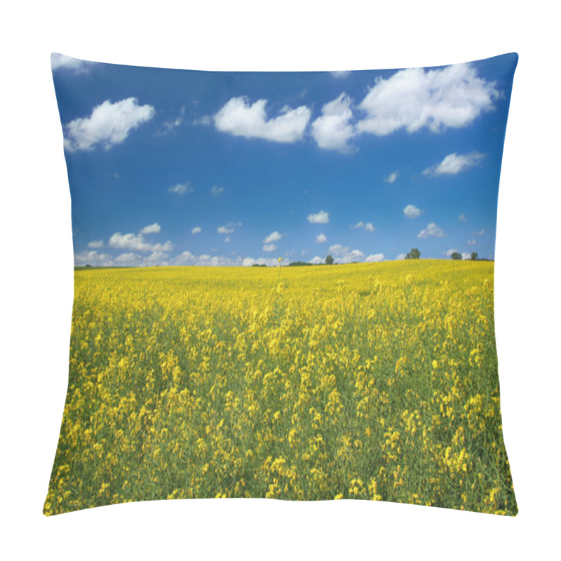 Personality  Canola Field With Cumulus Clouds Pillow Covers