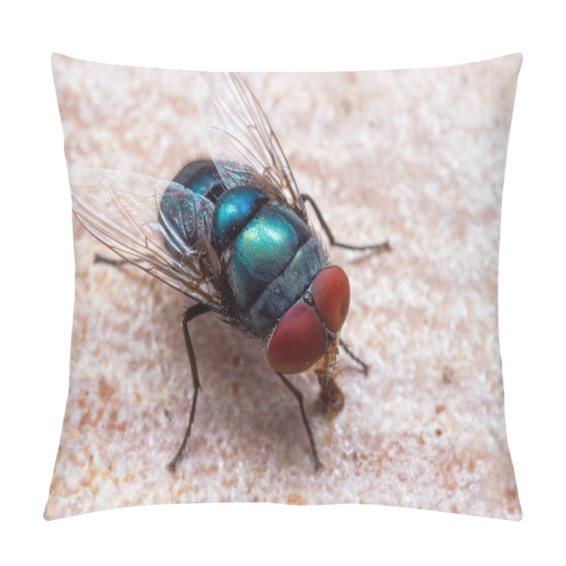 Personality  Macro Photo Of Blue Blow Fly On The Floor Pillow Covers