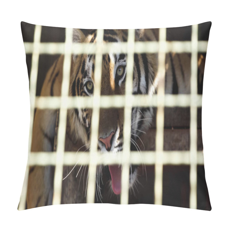 Personality  Tiger Yawning In Cage With Blurred Foreground  Pillow Covers