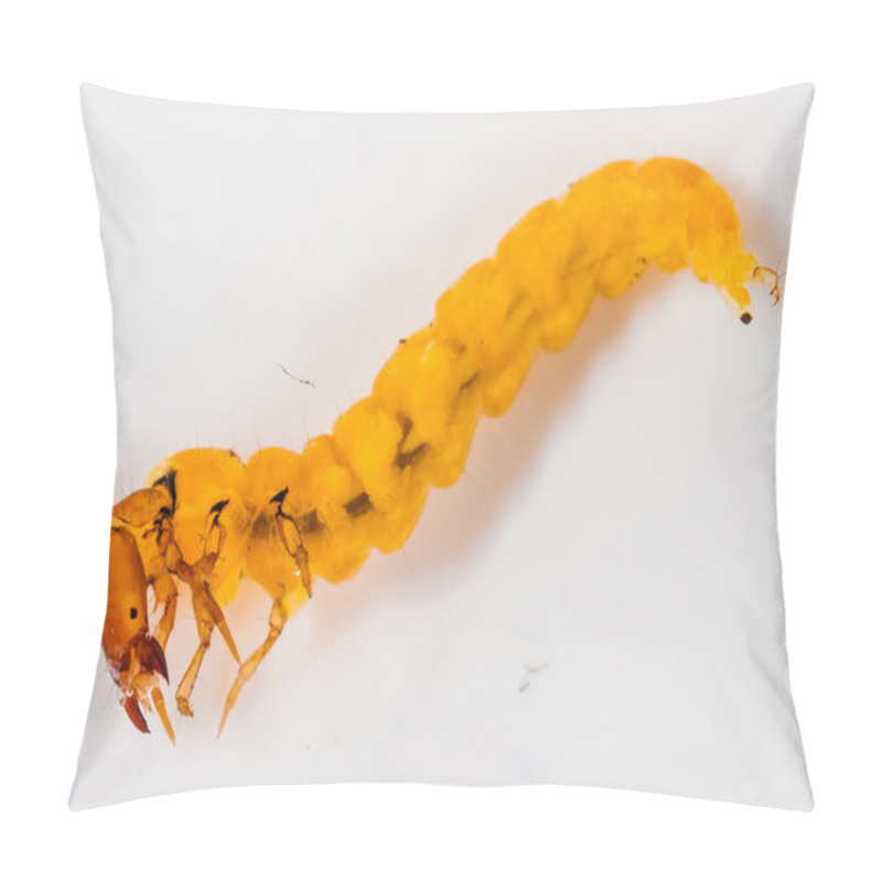 Personality  A Small Caddisfly Larva Pillow Covers