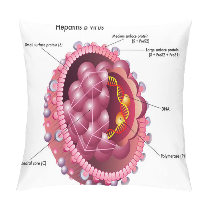 Personality  Hepatitis B Virus Structure. Pillow Covers