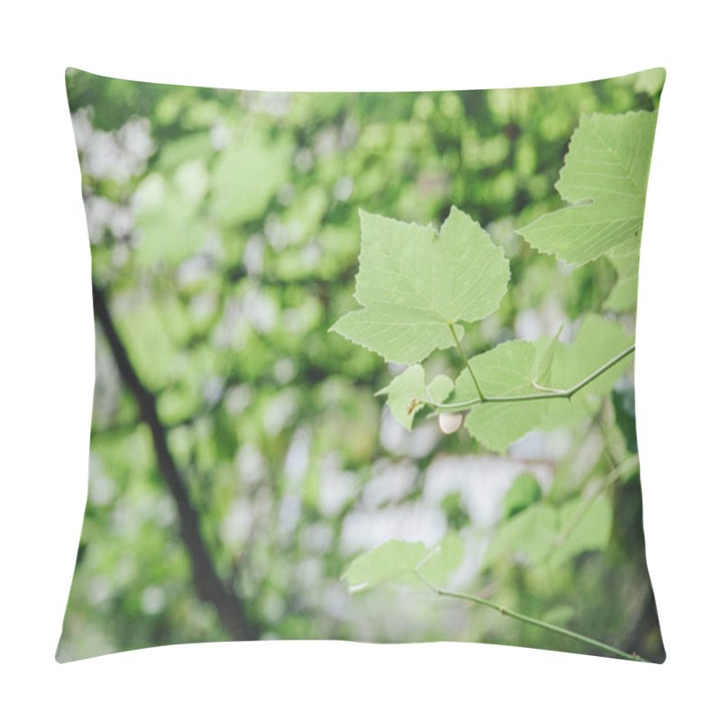 Personality  Selective Focus Of Green Leaves On Twigs Pillow Covers