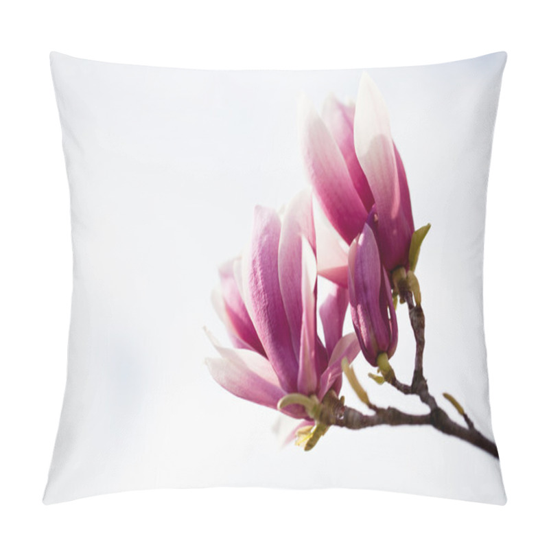 Personality  Saucer Magnolia (Magnolia X Soulangeana). Pillow Covers