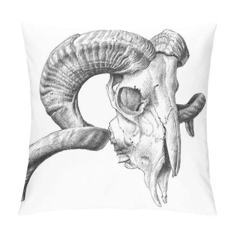 Personality  Illustration With  Skull Pillow Covers